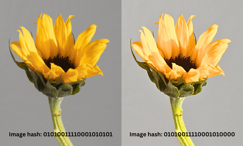 Example: Comparison of similar images with simalar hash