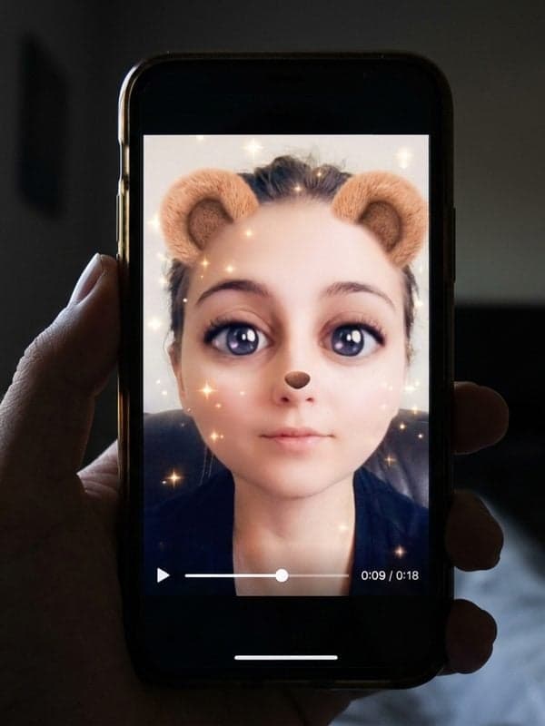 Profile video frame analyzed for face filter and liveness across frames